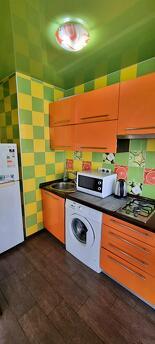 Cozy apartment in the Forest, no commiss, Kyiv - apartment by the day