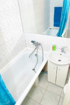 Centr._ Khreshchatyk - 500m, Kyiv - apartment by the day