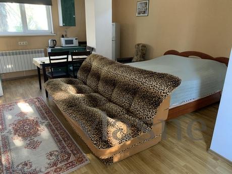 Studio in center of Yalta with parking, Yalta - apartment by the day