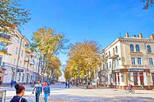Барокко Терраса в Центре Полтавы, Полтава - квартира посуточно