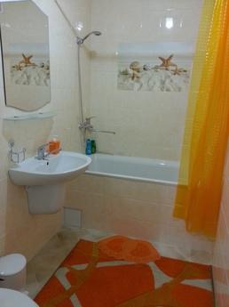 Beautiful 2 bedroom apartment, Odessa - apartment by the day