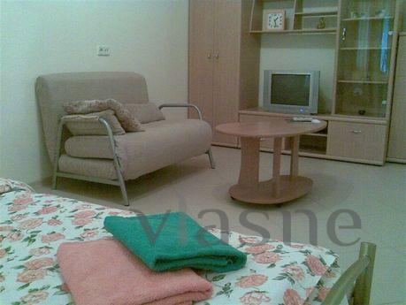 Studio Luxury near Polytechnic Institut, Kyiv - apartment by the day