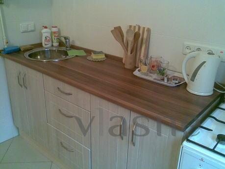Studio Luxury near Polytechnic Institut, Kyiv - apartment by the day