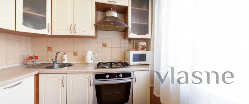 Cozy apartment in downtown Kiev for rent, Kyiv - apartment by the day