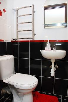 M. Demeevskaya, Kyiv - apartment by the day