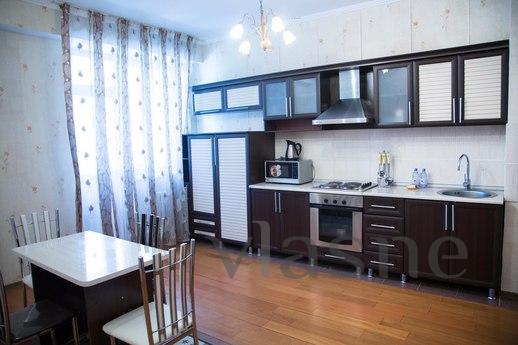 Comfortable clean 1komn. apartment for r, Kyiv - apartment by the day