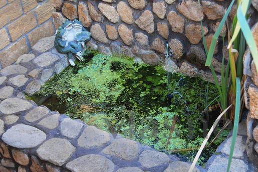 House Eurolux: daily, Mykolaiv - apartment by the day