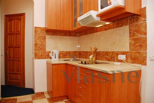 2BR for daily rent in the Center, Kyiv - apartment by the day
