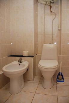 2BR for daily rent in the Center, Kyiv - apartment by the day