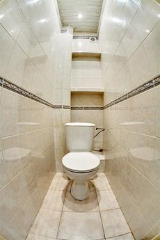 Rent an apartment in Kiev-1room, Kyiv - apartment by the day