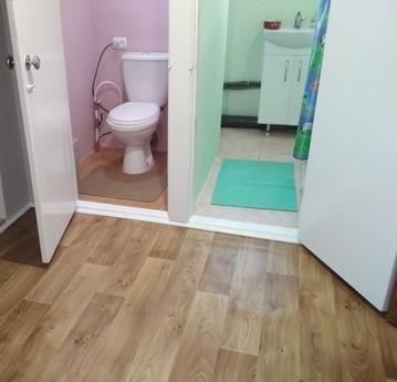 Cozy house near Rivne, Rivne - apartment by the day