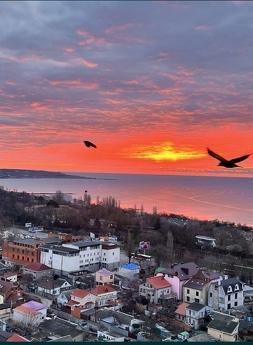 Отдых в Одессе. Пляж. Сдам свою квартиру, Одесса - квартира посуточно