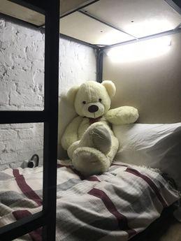 Hostel in the center of Kiev (new), Kyiv - apartment by the day