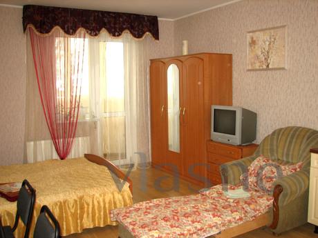 Studio apartment m. Vasilkovskaya, Kyiv - apartment by the day