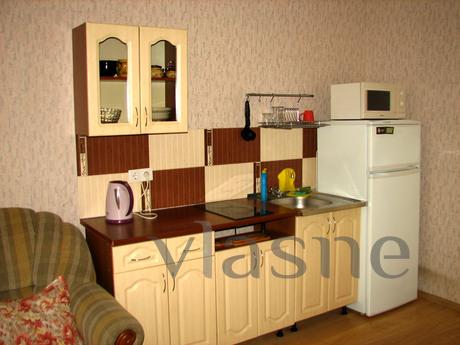 Studio apartment m. Vasilkovskaya, Kyiv - apartment by the day