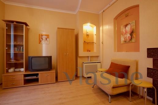 Cozy apartment in the center of Lviv, Lviv - apartment by the day