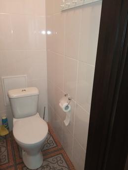 Квартира 1 комн Пр. Мира 35, Чернигов - квартира посуточно