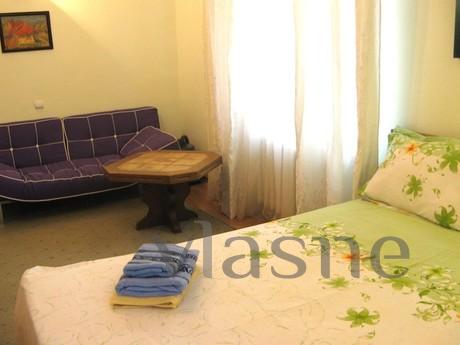 Comfortable and cozy Studio apartment, Zhytomyr - apartment by the day