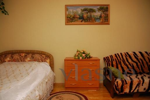 Charming and cozy apartment in the cente, Kyiv - apartment by the day