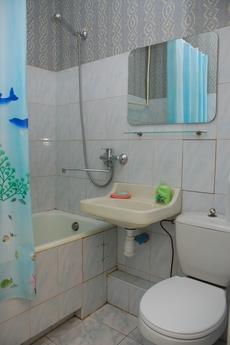 Charming and cozy apartment in the cente, Kyiv - apartment by the day