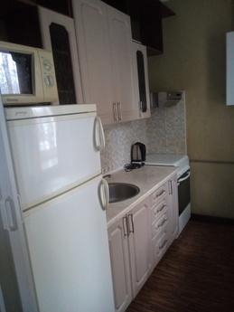 Cozy own apartment in Pechersk, Kyiv - apartment by the day