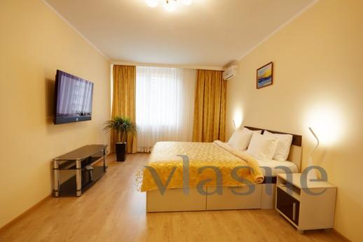 Cozy apartment for rent. Poznyaki., Kyiv - apartment by the day