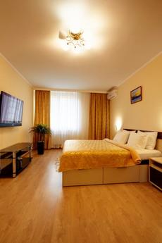 Cozy apartment for rent. Poznyaki., Kyiv - apartment by the day