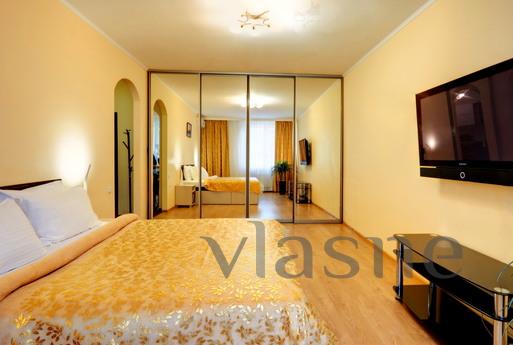 Cozy apartment for rent. Poznyaki., Kyiv - apartment by the day