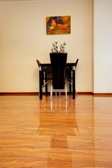 Cozy apartment for rent. Poznyaki., Kyiv - apartment by the day