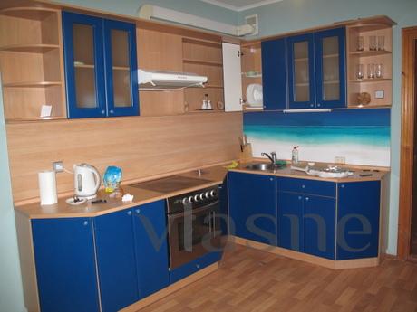 1-room. Apartment 10 minutes. m.Poznyaki, Kyiv - apartment by the day