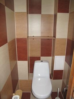 1-room. Apartment 10 minutes. m.Poznyaki, Kyiv - apartment by the day