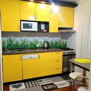 2-room apartment in the center of Kiev, Kyiv - apartment by the day