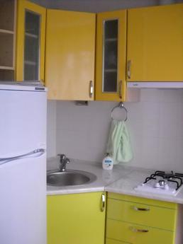 1-bedroom apartment in tsentr posutochno, Kharkiv - apartment by the day