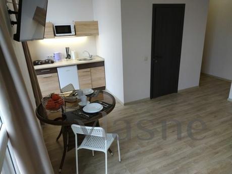 Studio apartment on Pushkinskaya, Kharkiv - apartment by the day