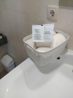 Studio apartment on Pushkinskaya, Kharkiv - apartment by the day
