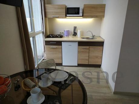 Studio apartment on Pushkinskaya, Kharkiv - apartment by the day
