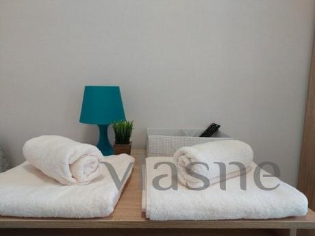 Studio apartment on Pushkinskaya, Kharkiv - apartment by the day