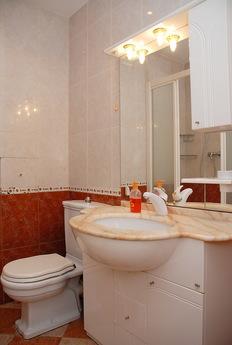 A flat in the center of Kiev, metro Pech, Kyiv - apartment by the day