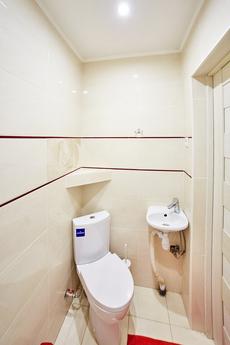 Excellent apartment for rent, Lviv - apartment by the day