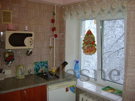 a cozy nest in the center, Kyiv - apartment by the day
