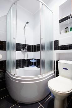 Comfortable apartment for rent, Lviv - apartment by the day
