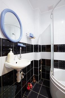Comfortable apartment for rent, Lviv - apartment by the day