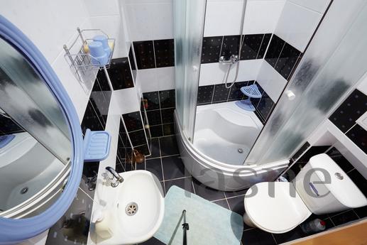 Comfortable apartment for rent, Lviv - apartment by the day