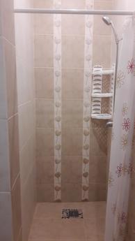 1 bedroom apartment in the center of Mir, Mirgorod - apartment by the day