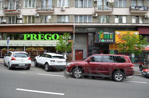 Светлая квартира с современным ремонтом, Киев - квартира посуточно