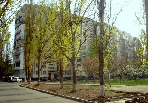 Comfortable apartment in the district of, Odessa - apartment by the day