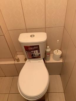 Friendly house, Kyiv - apartment by the day