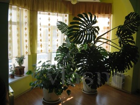 Rent on the euro in 2012 in Kiev appartm, Kyiv - apartment by the day