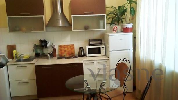 Center, renovation, WiFi, documents, Vinnytsia - apartment by the day