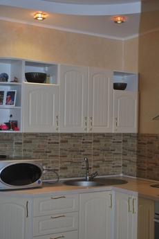 Rent for the period of Euro-2012, Kyiv - apartment by the day
